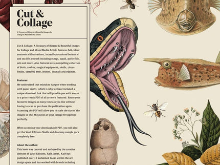 Cut & Collage Book - Bizarre Vol 1 - ColorSwatch