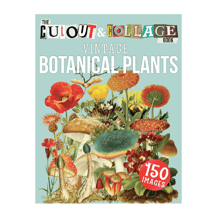 Cut Out & Collage Book - Botanical Plants - ColorSwatch