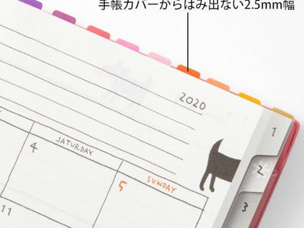 Index Labels - Colores - ColorSwatch