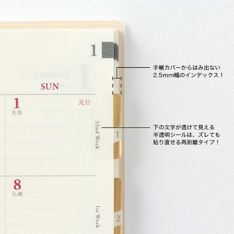 Index Labels - Dorado con Numeros - ColorSwatch