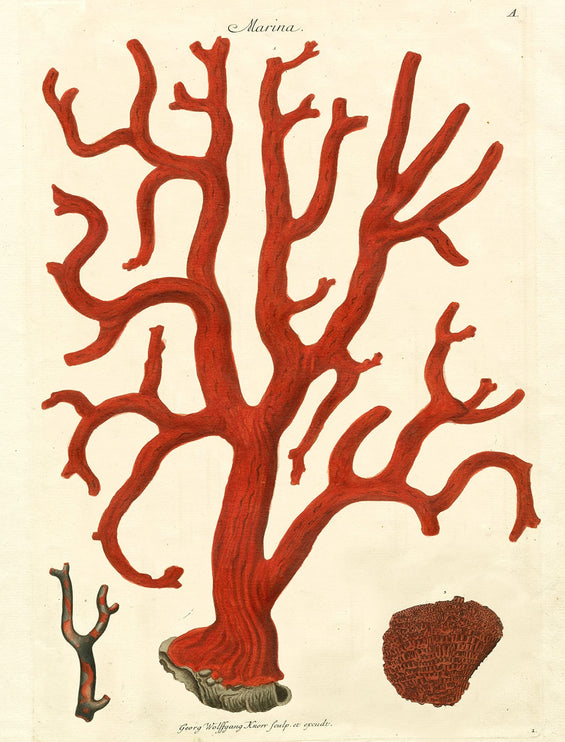 Libro de Papel Para Regalo y Tags - ColorSwatch