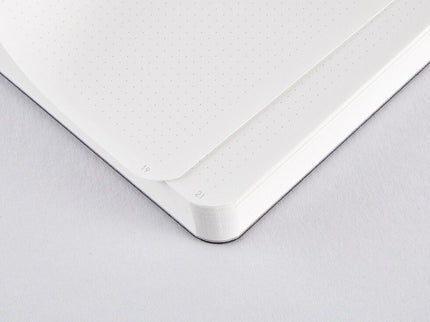 Notebook Shiny Starlet S - Silver - ColorSwatch