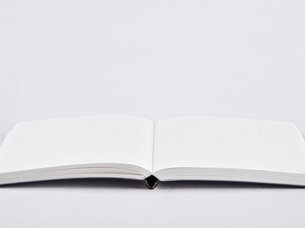 Notebook Shiny Starlet S - Silver - ColorSwatch