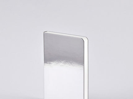 Notebook Shiny Starlet S - Silver - ColorSwatch