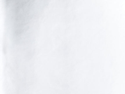 Notebook Shiny Starlet S - Silver - ColorSwatch