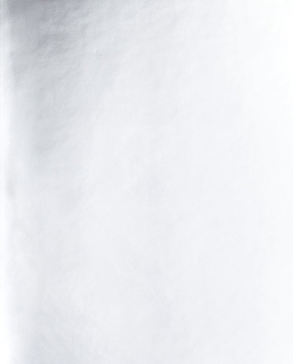 Notebook Shiny Starlet S - Silver - ColorSwatch