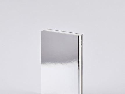 Notebook Shiny Starlet S - Silver - ColorSwatch
