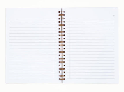 Painted Workbook - Blipblop - Líneas - ColorSwatch