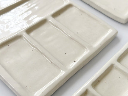 Paleta de Pintor - Rectangular Mediana - ColorSwatch