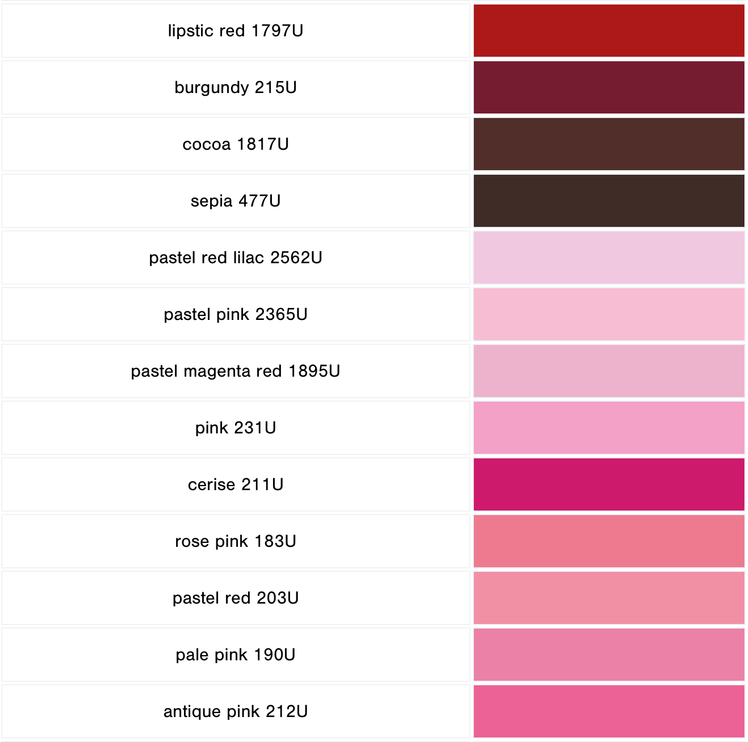 Pigment Decobrush - (Unidad) - ColorSwatch