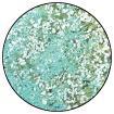 Polvo para Embossing - Speckle - Mint Chip - ColorSwatch