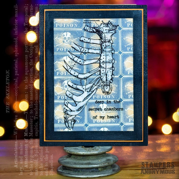 Sello Gigante - Anatomy Chart - ColorSwatch