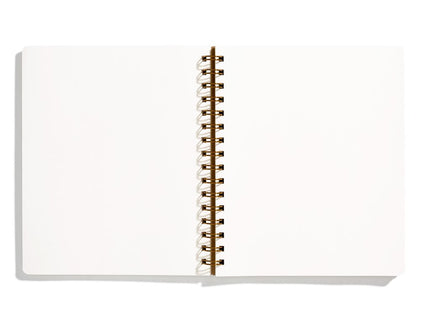 Shorthand Notebook - Mint - En Blanco