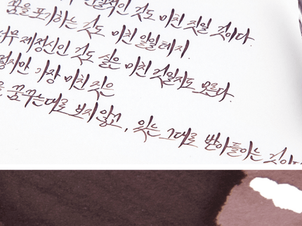 Tinta 30mL - Don Quixote - ColorSwatch